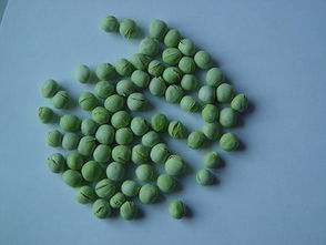 凍干豌豆 自然營(yíng)養(yǎng)的定格，北綠凍干食品有限公司為您呈現(xiàn)